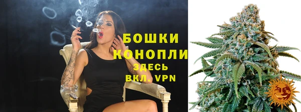 дживик Мегион