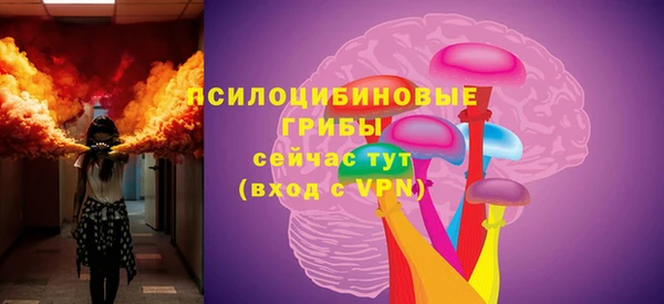дживик Мегион